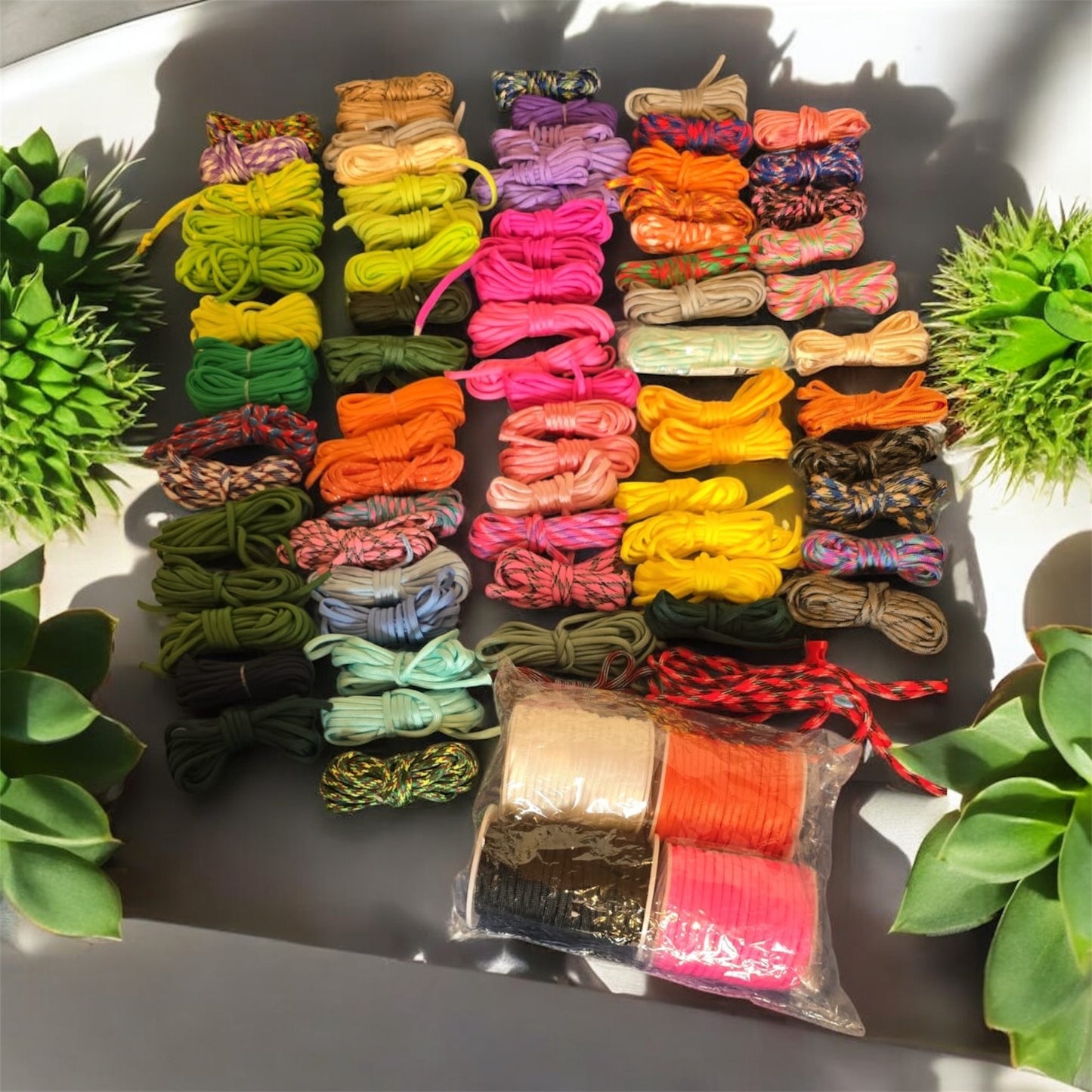 Paracord Cobra Hundehalsband (individuell gestaltbar)