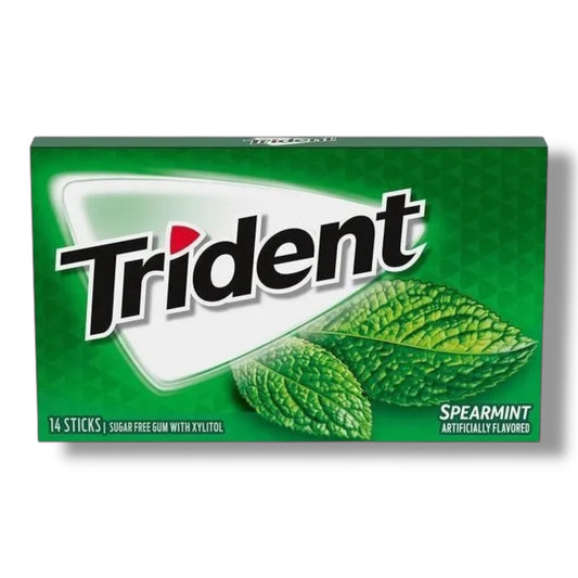 Trident Kaugummi Spearmint 31g 🇺🇸