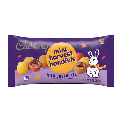 Cadbury Mini Milk Chocolate 255g (USA)