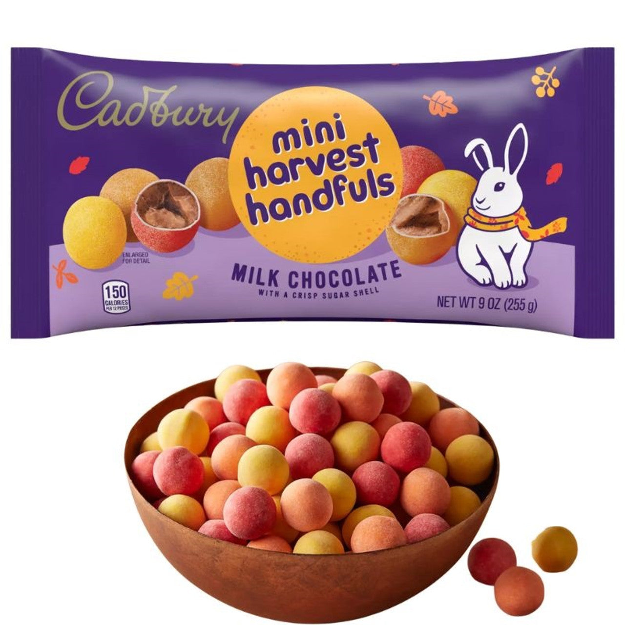 Cadbury Mini Milk Chocolate 255g (USA)