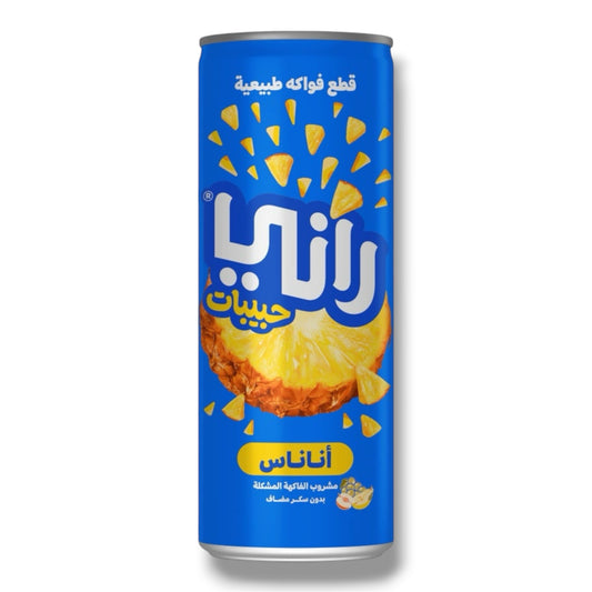 Rani Float Ananas Fruchtgetränk Ägypten 250ml 🇪🇬